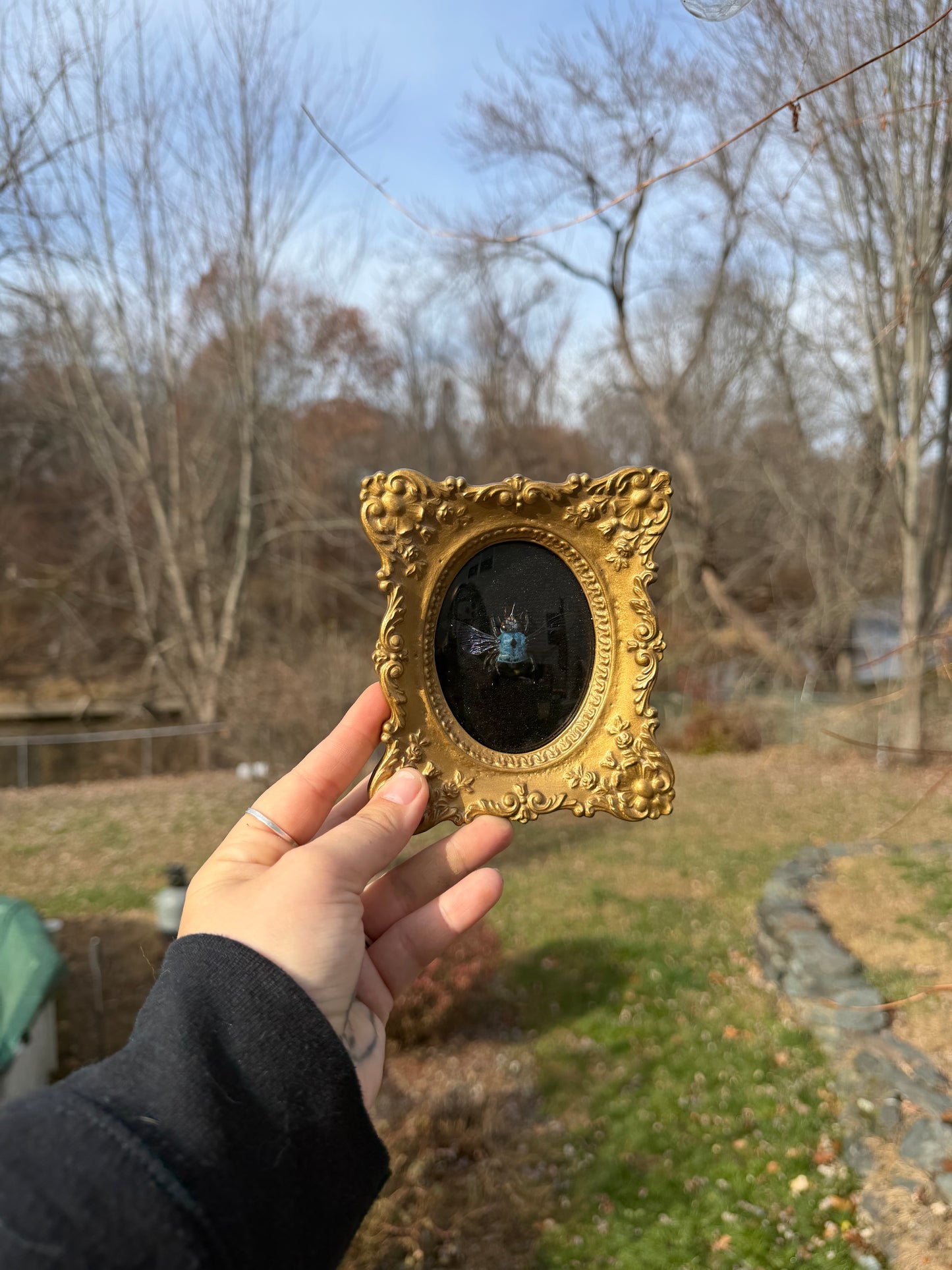 Vintage Bee Frame