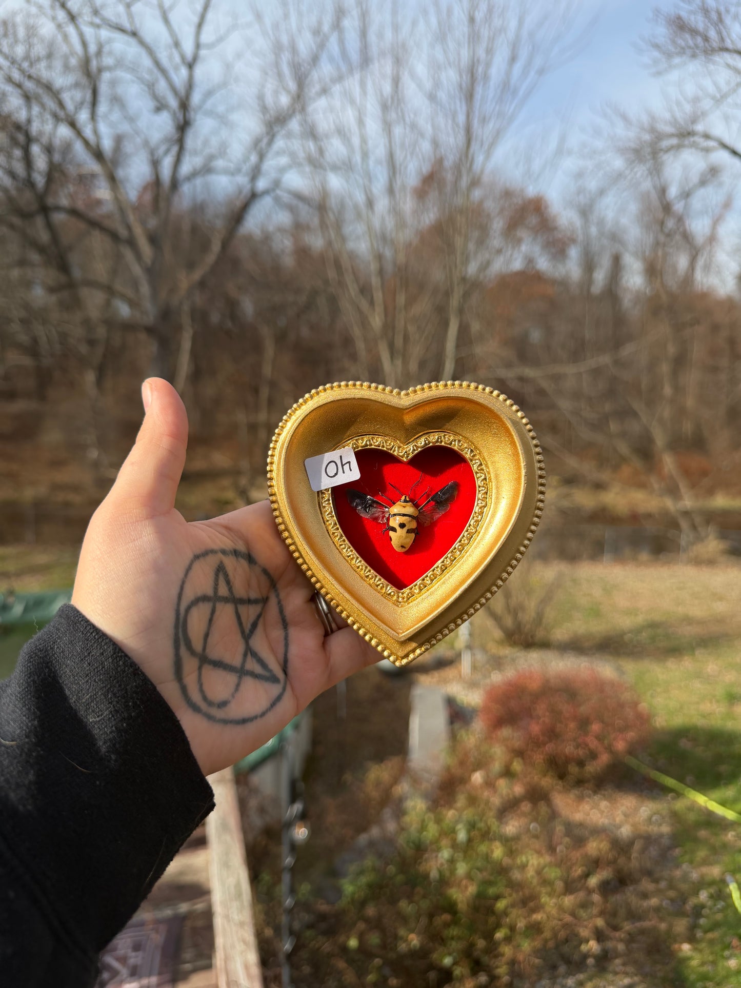 Gold Red Stinkbug Frame