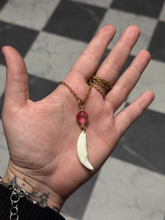 Pink Coyote Fang Necklace