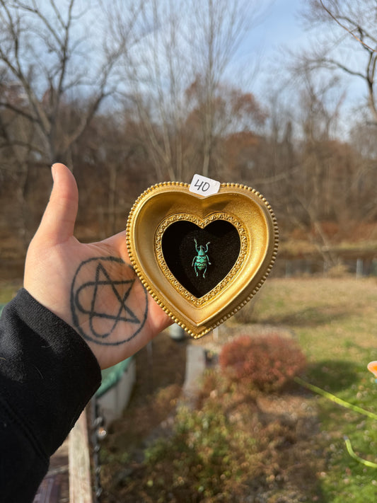 Gold Black Weevil Frame