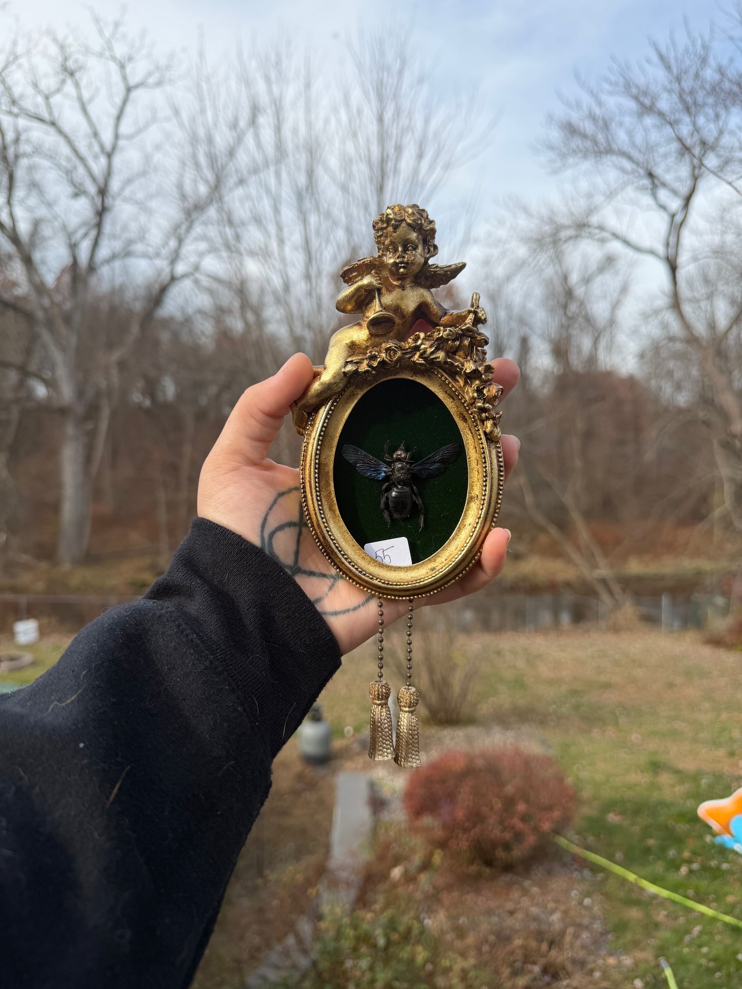 Gold Green Wasp Frame