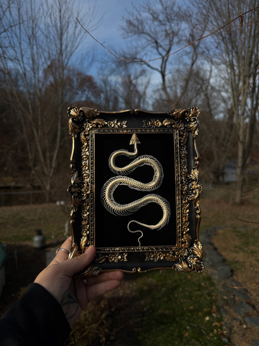 Black Snake Frame