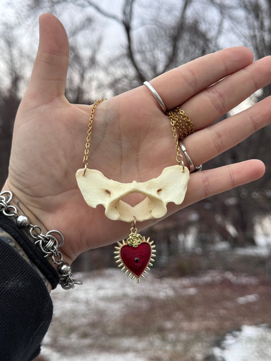 Red Heart Coyote Vertebrae Necklace