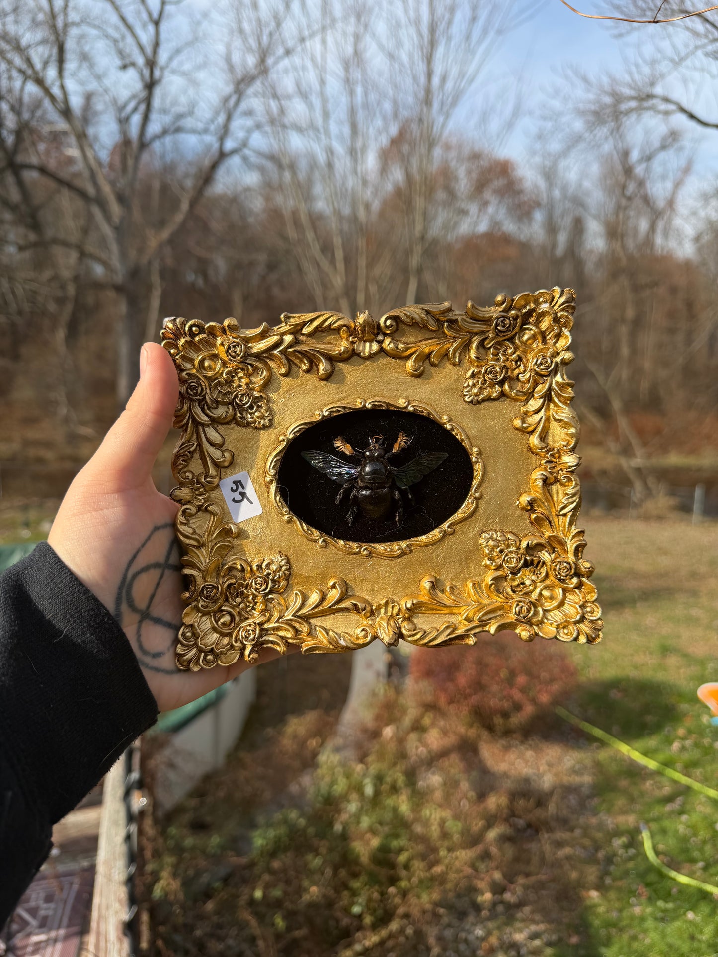 Gold Black Carp Bee Frame