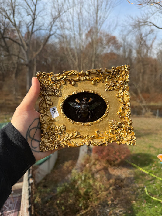 Gold Black Carp Bee Frame
