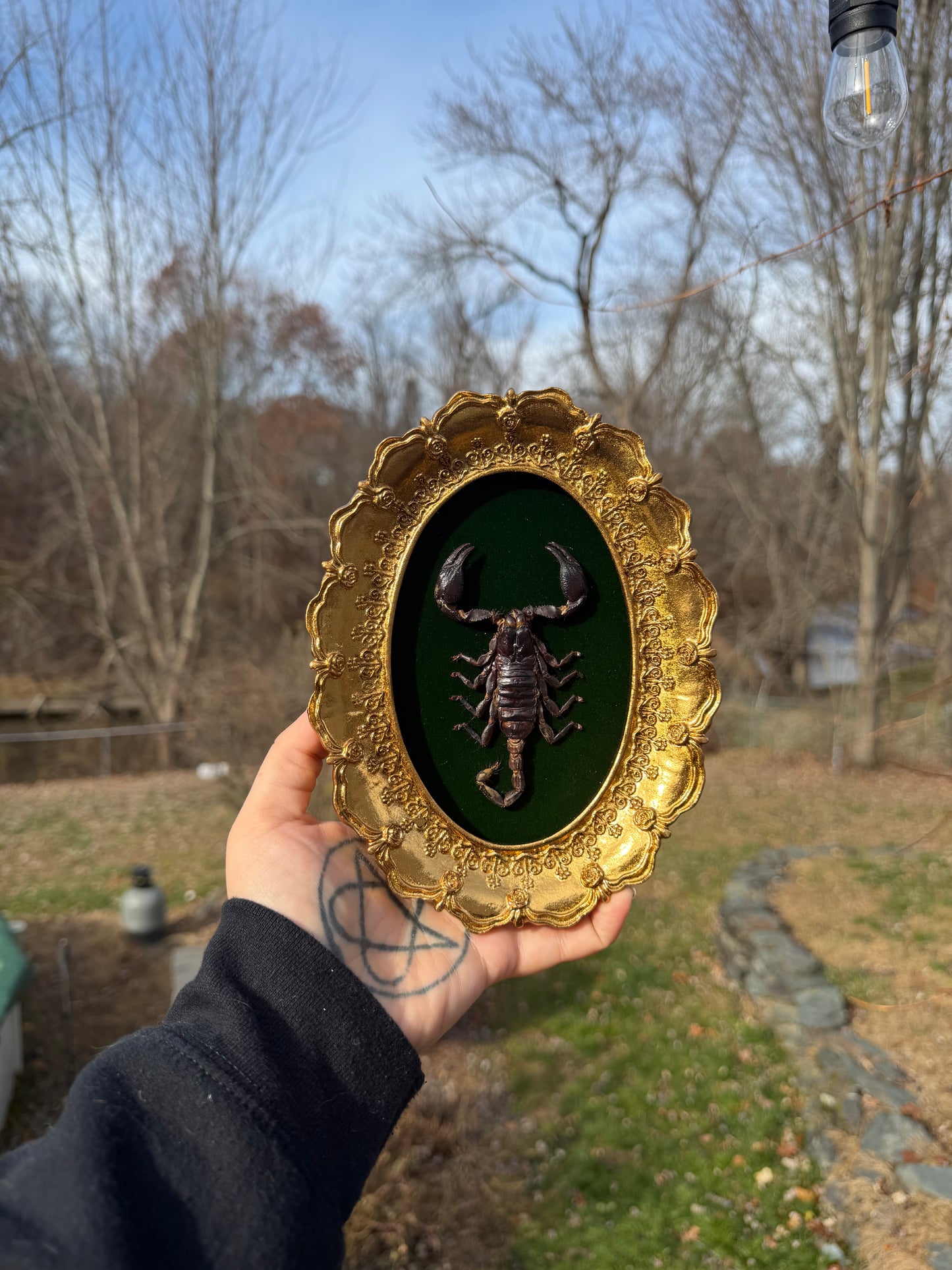 Gold Green Scorpion Frame