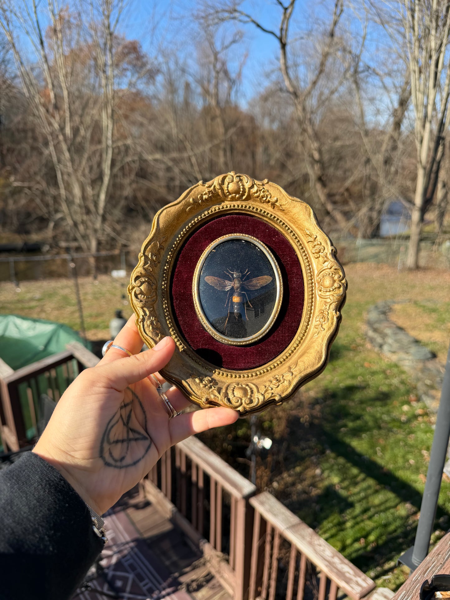 Vintage Hornet Frame