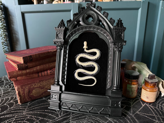 PREORDER Cathedral Snake Frame