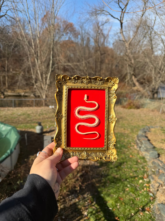 Red Gold Snake Frame