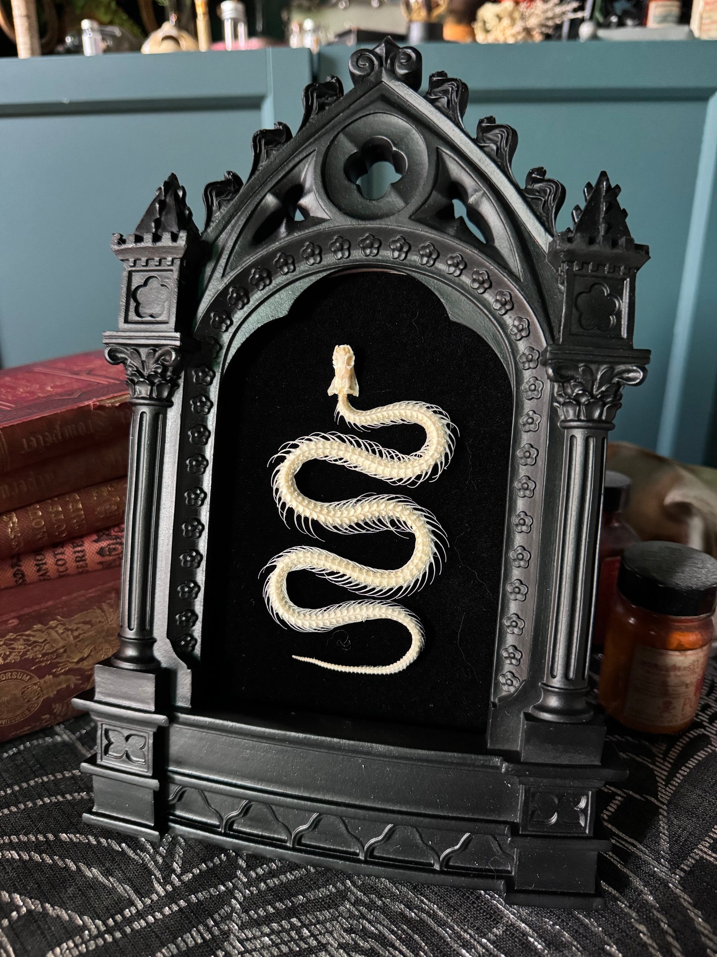 PREORDER Cathedral Snake Frame