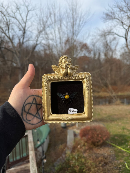 Gold Black Bee Frame