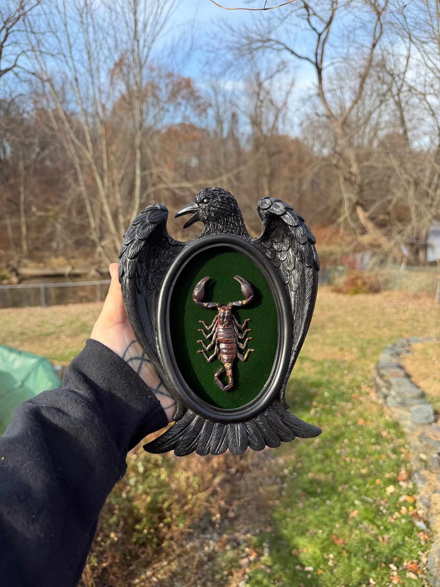 Black Green Scorpion Frame