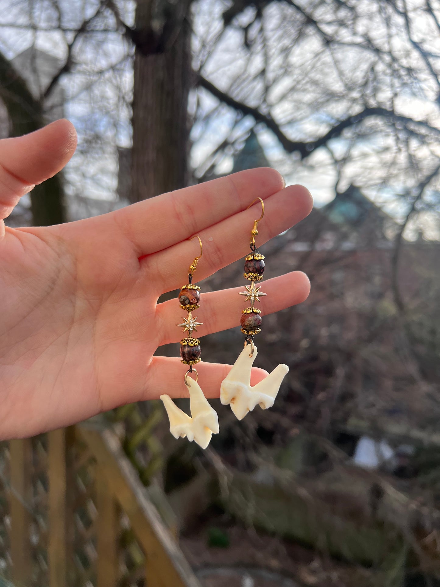 Star Molar Earrings