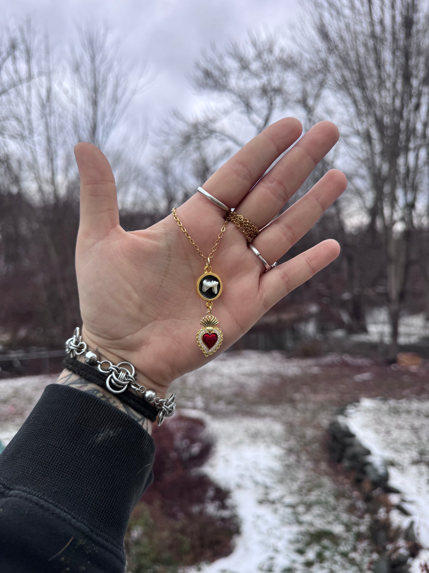 Red Heart Bezel Coyote Molar Necklace