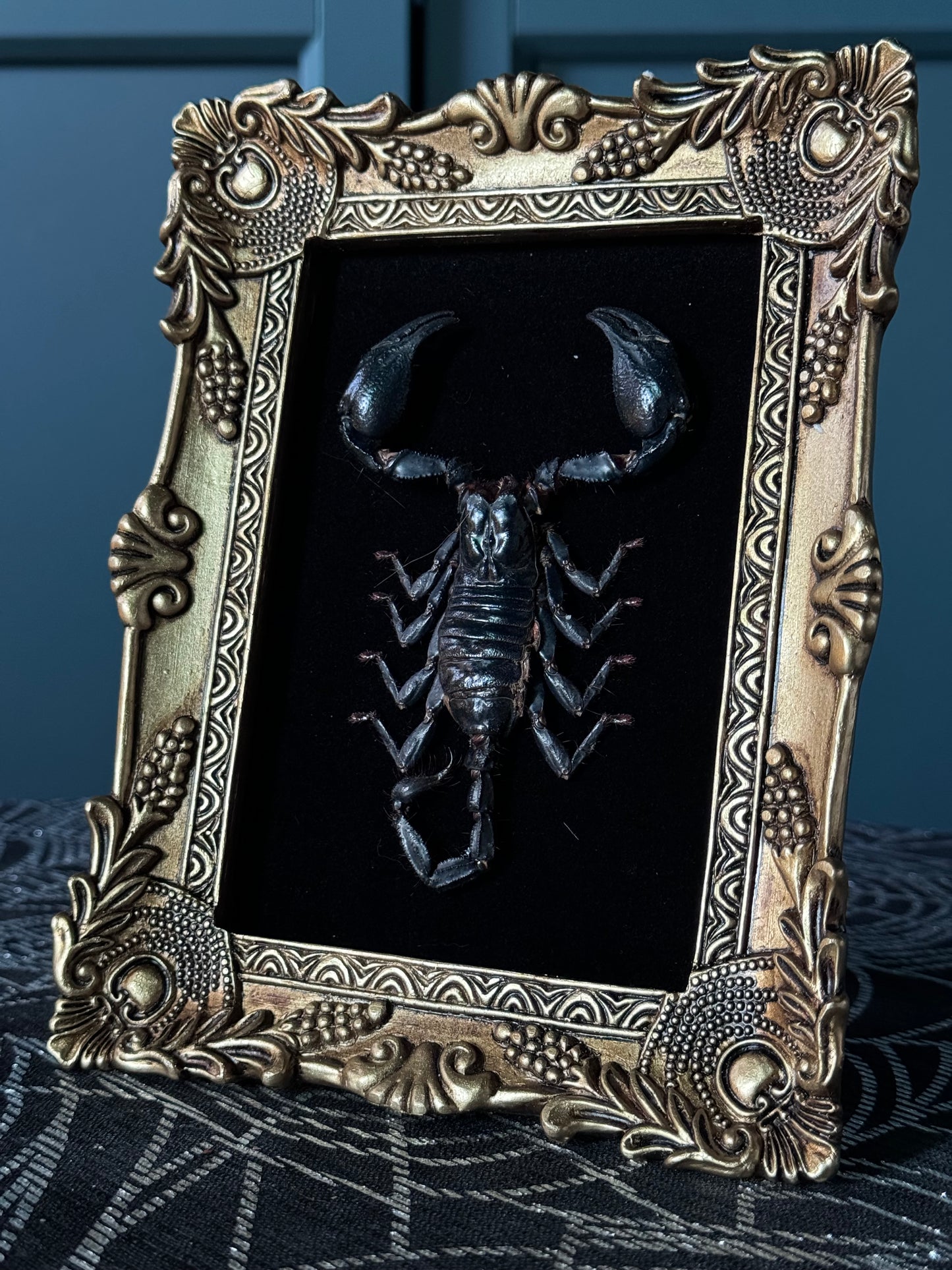 Gold Scorpion Frame