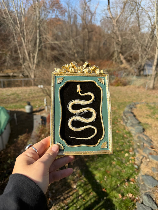 Black Green Snake Frame