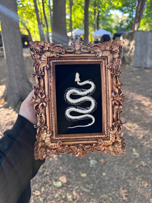 Gold Snake Frame