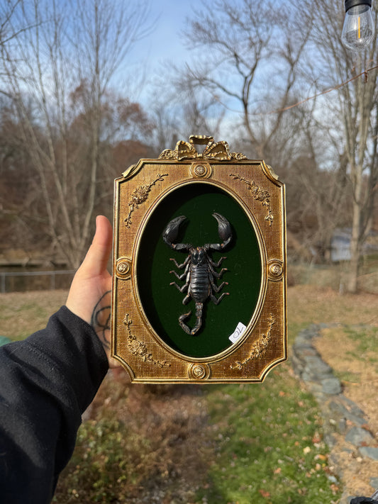 Gold Green Scorpion Frame