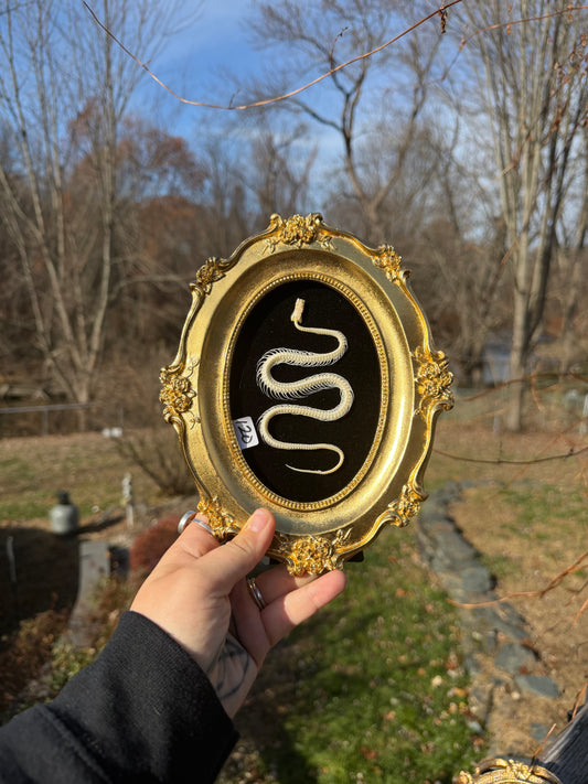 Gold Black Snake Frame