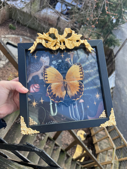 Bow Butterfly Shadowbox