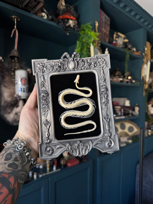 Vintage Pewter Snake Frame