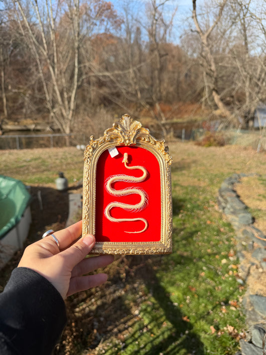 Gold Red Snake Frame