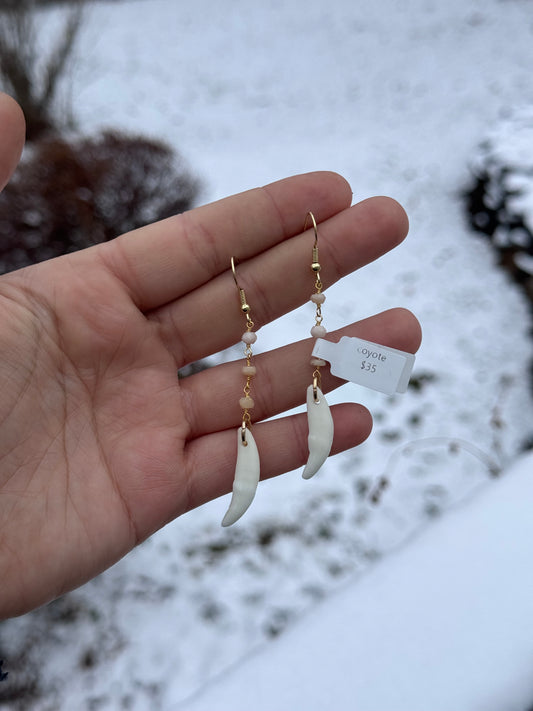 Pink Chain Coyote Fang Earrings