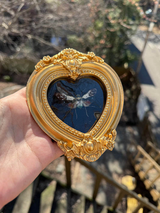 Heart Lanternfly Frame