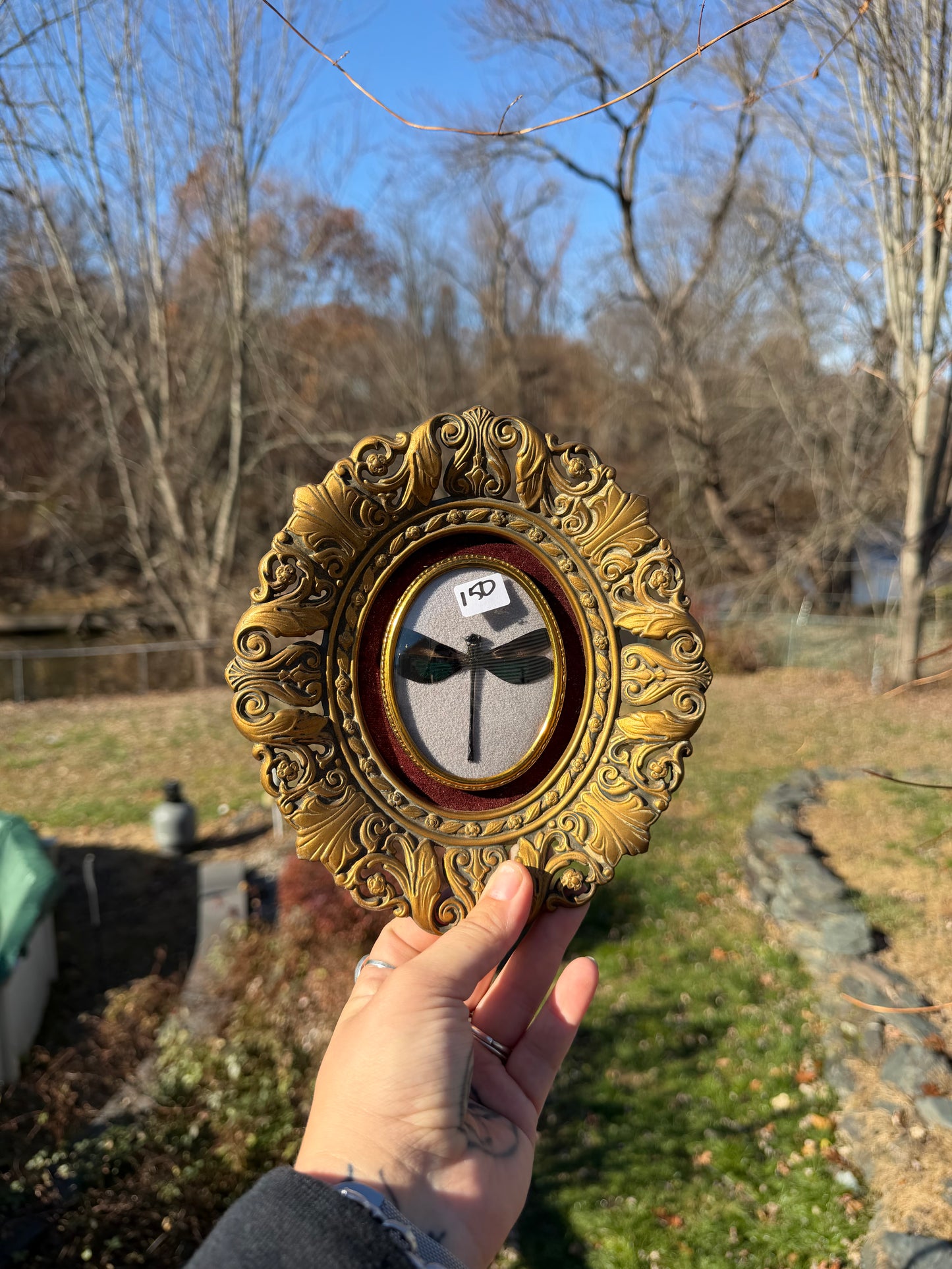 Vintage Dragonfly Frame