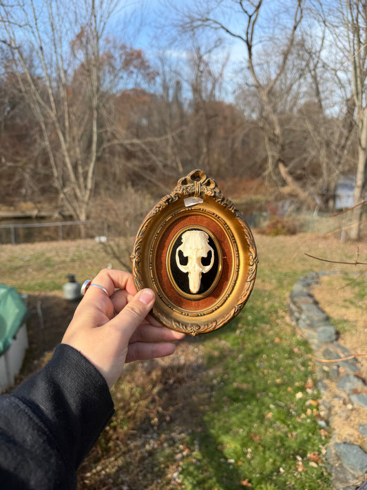 Vintage Muskrat Frame