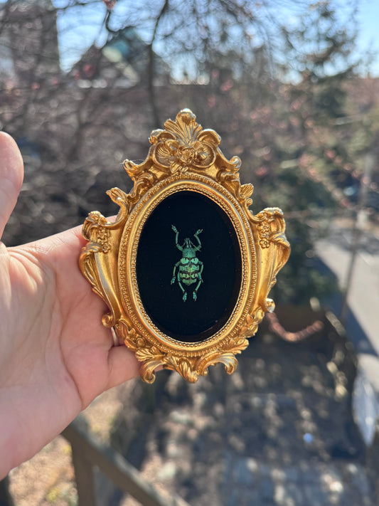 Beetle Frame
