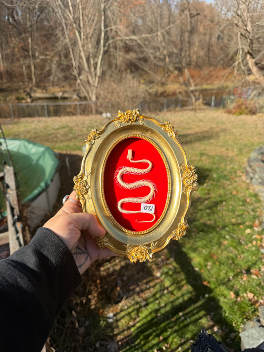 Red Gold Snake Frame