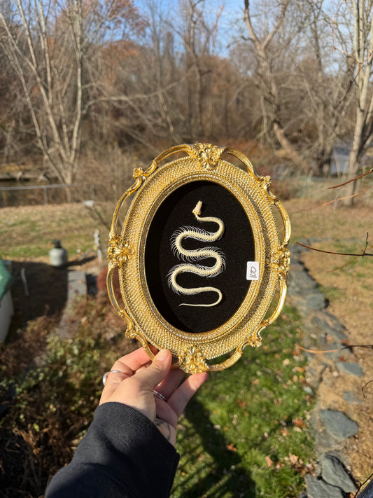 Gold Black Snake Frame