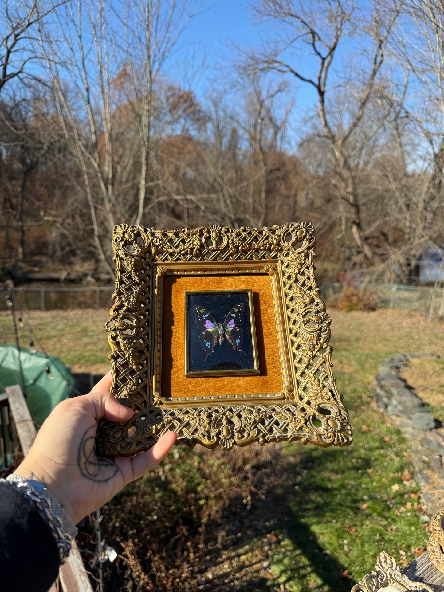Vintage Butterfly Frame