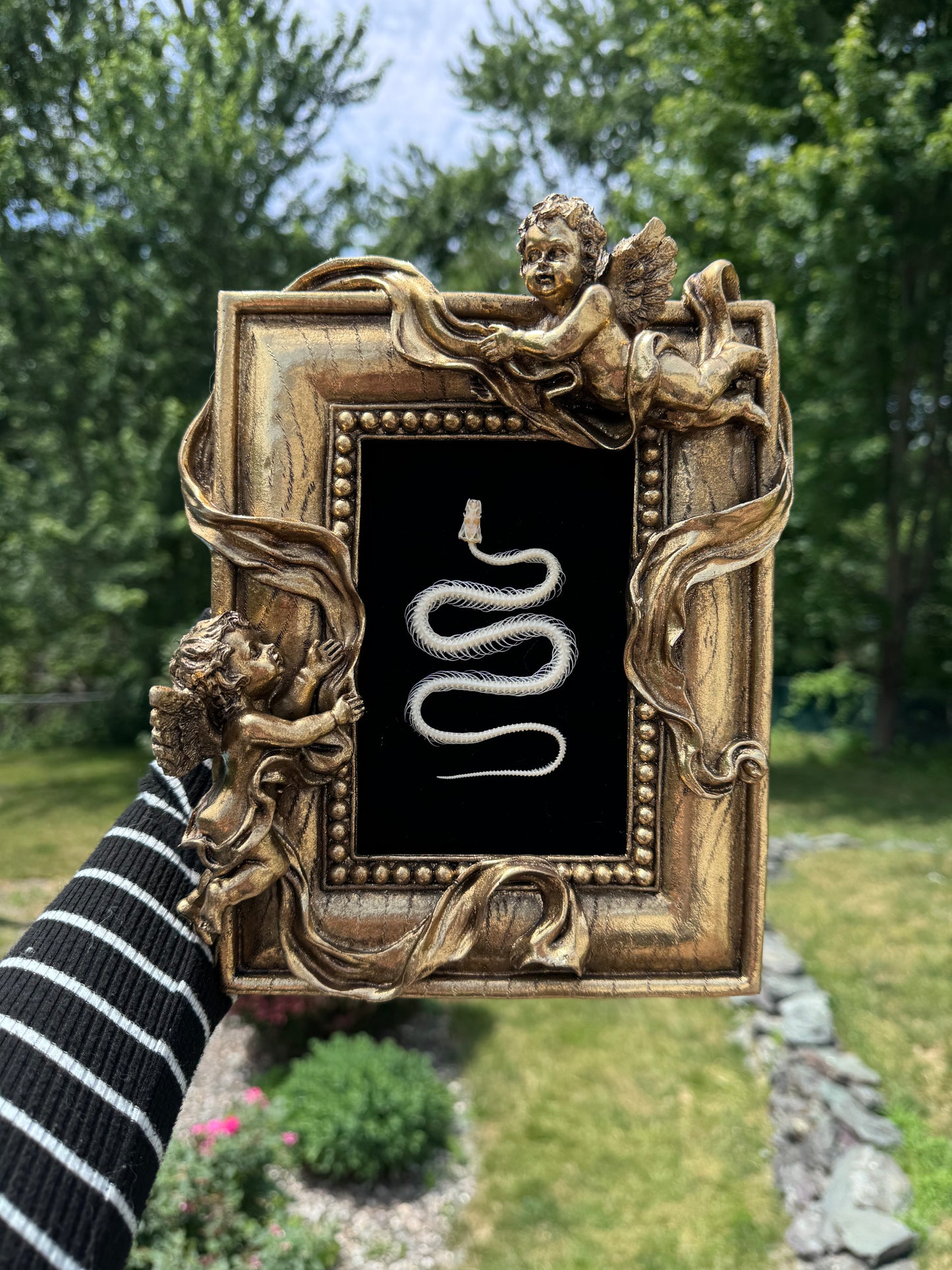 Cherub Gold Snake Frame