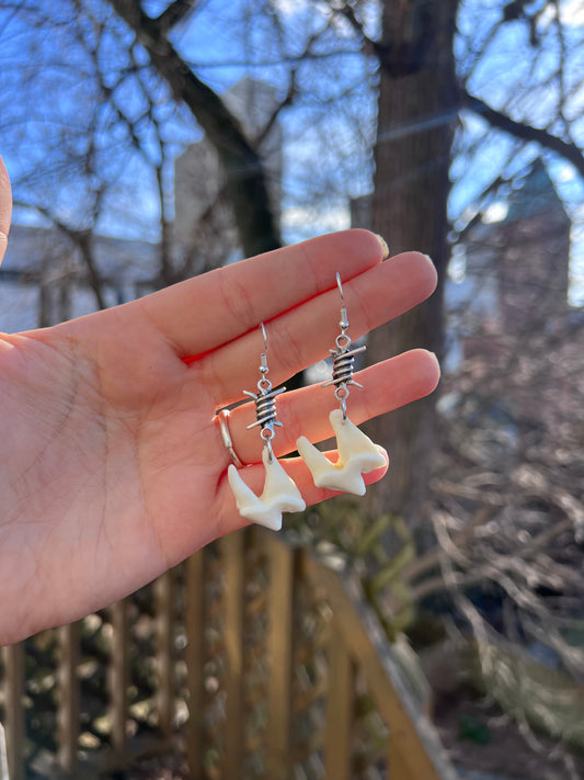 Barbed Wire Coyote Molar Earrings