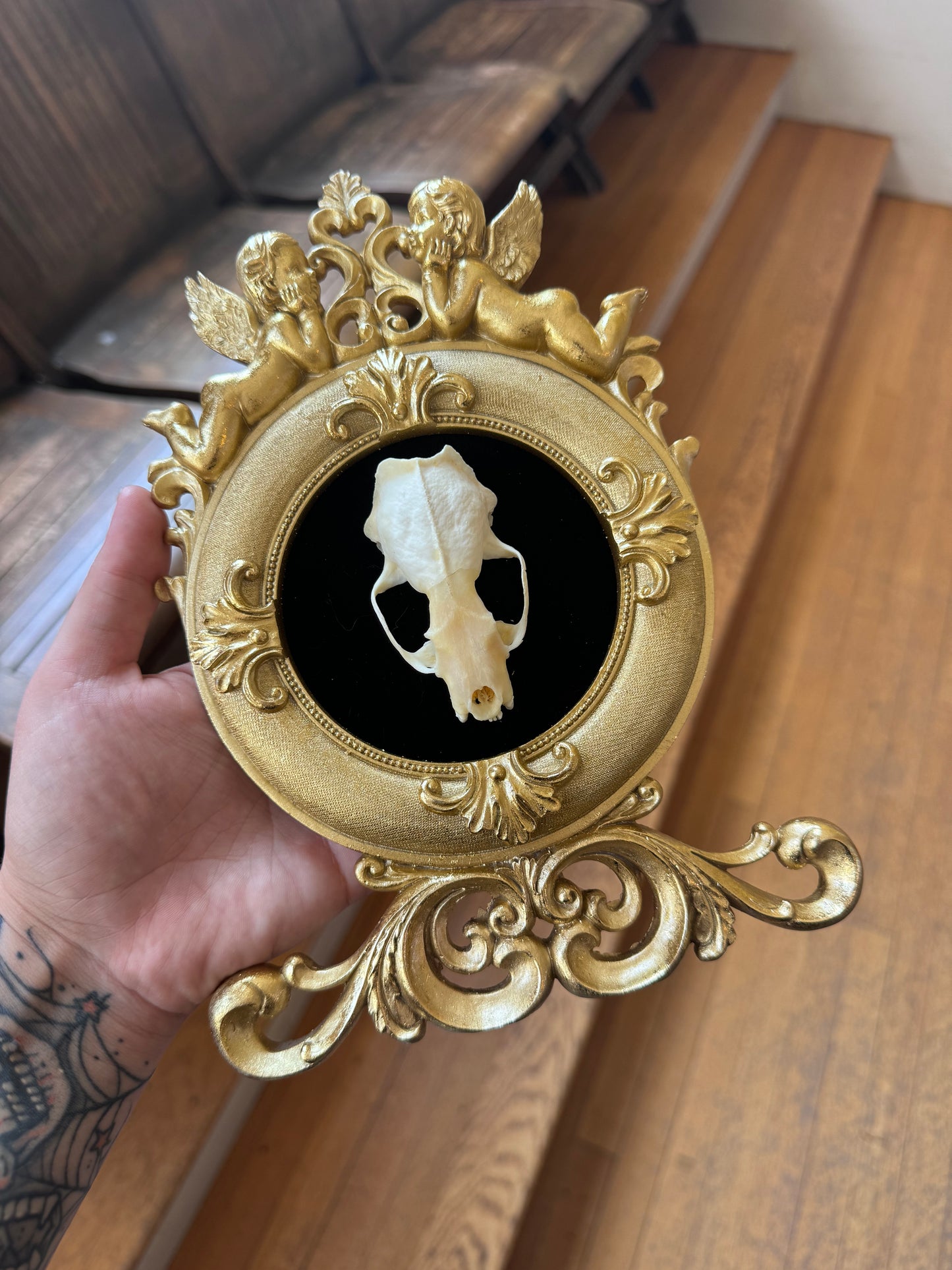 Cherub Mink Skull Frame