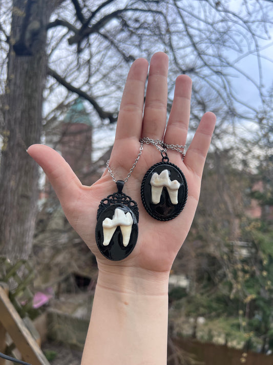 Large Coyote Tooth Necklace